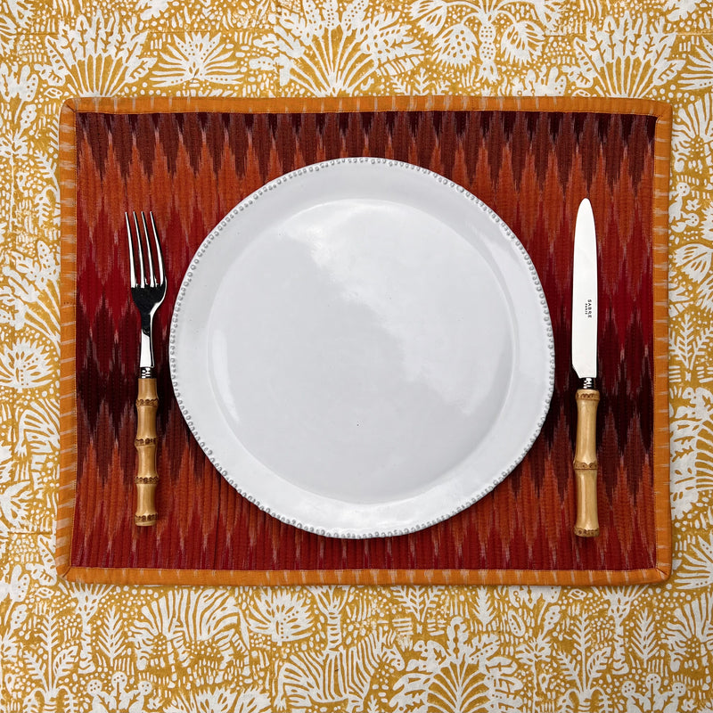 Gift Set: Set of 4 vibrant ikat placemats